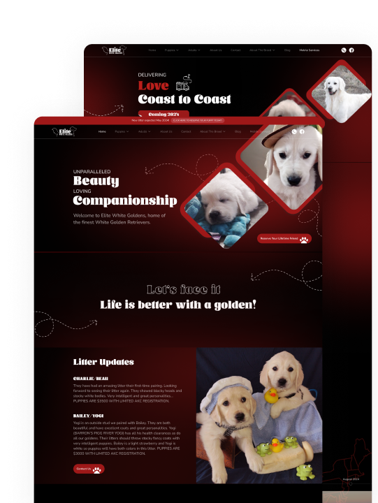 case study image