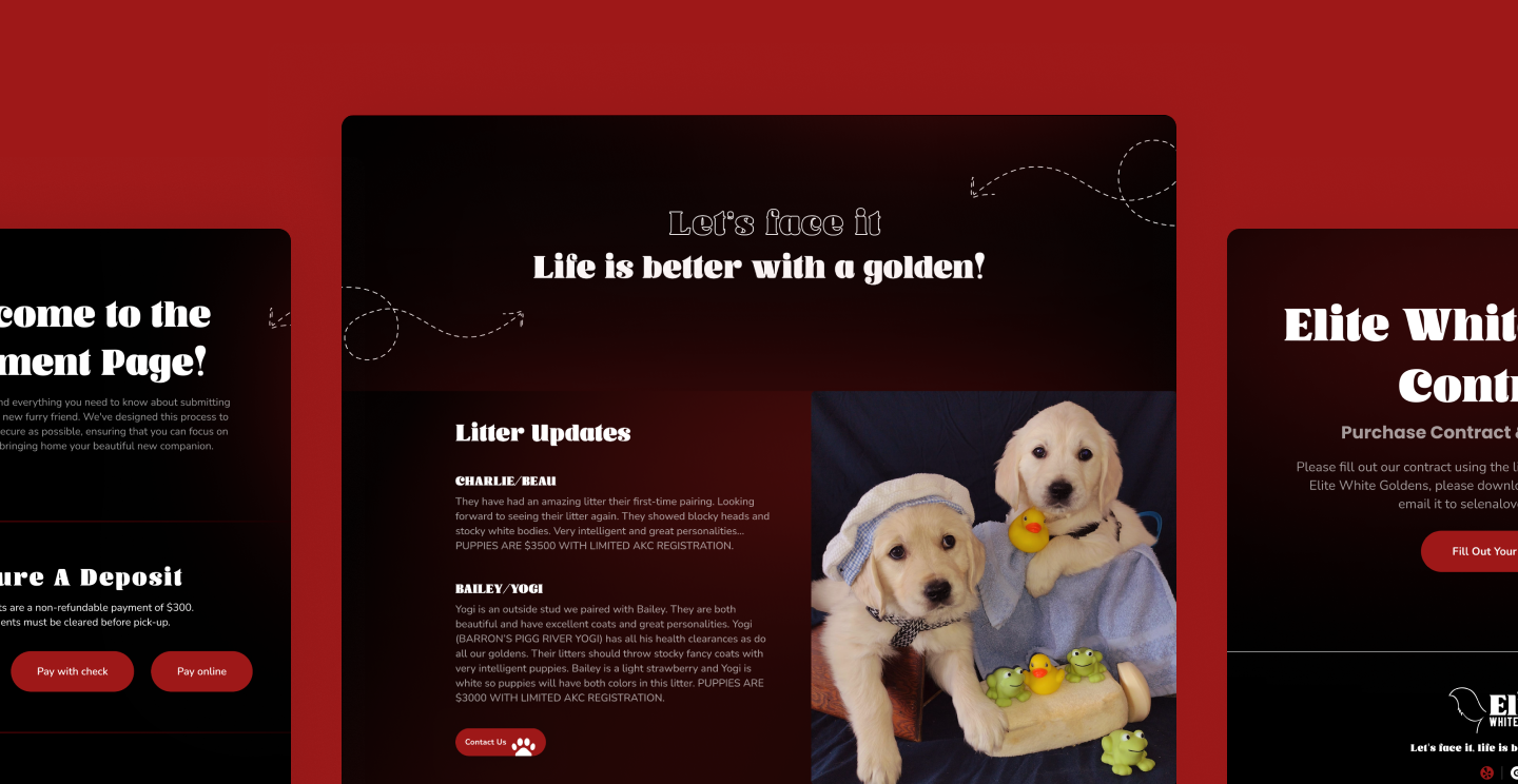 feature image