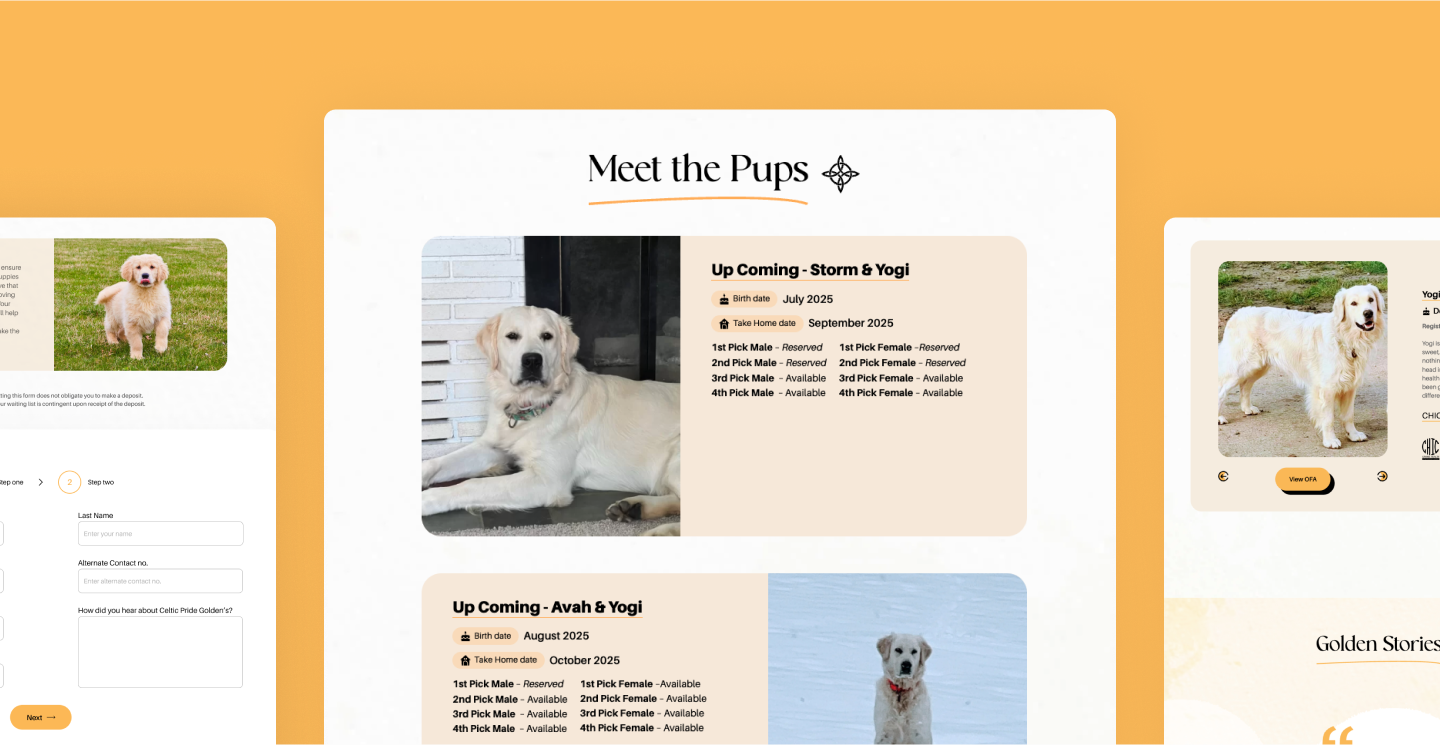 feature image
