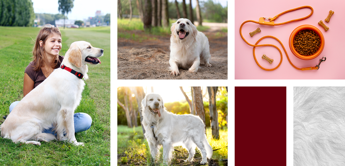 mood board